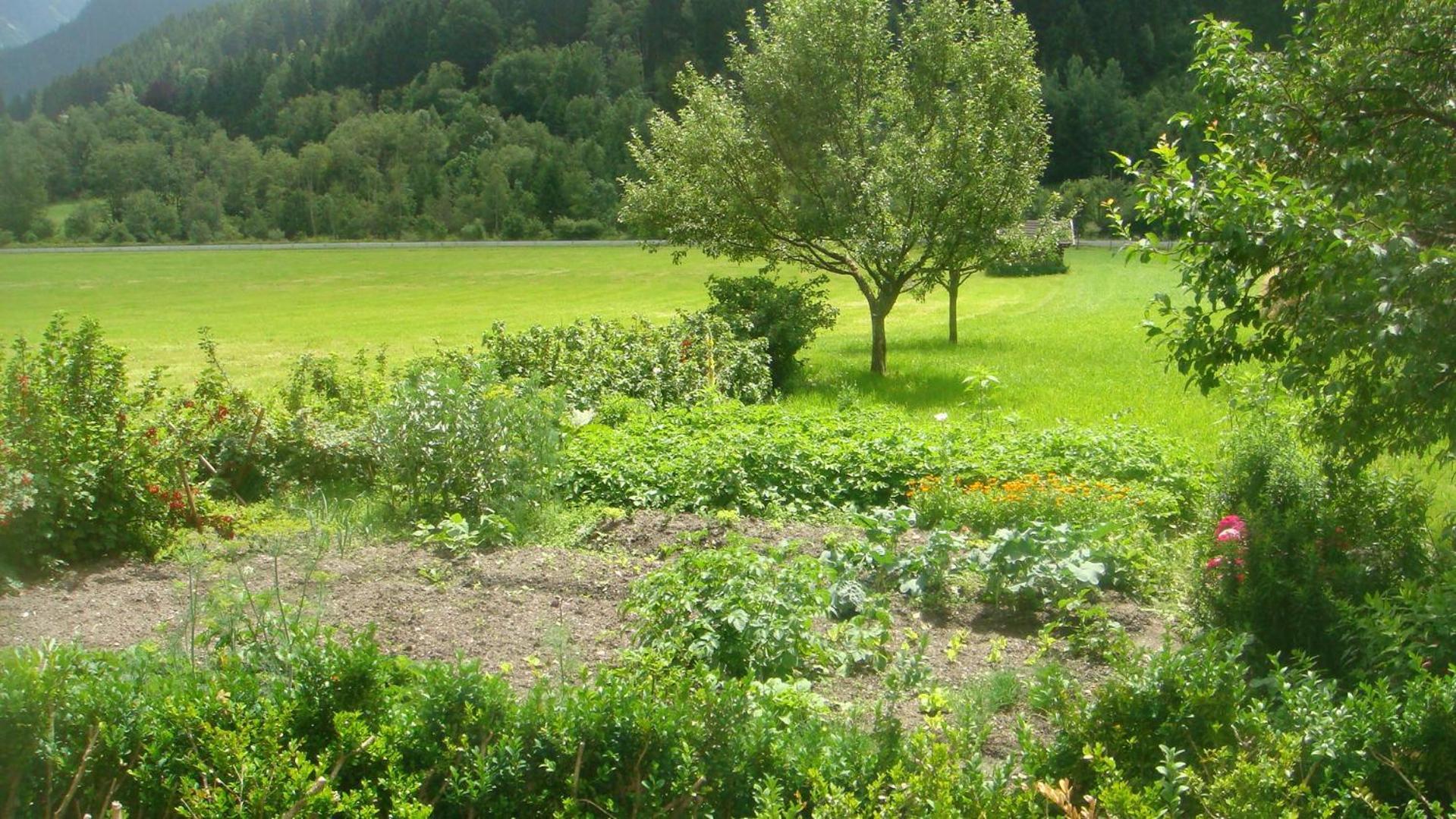 Bio-Bauernhof Obertrattenbachhof Neukirchen am Großvenediger Exterior foto